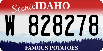 ID license plate W828278
