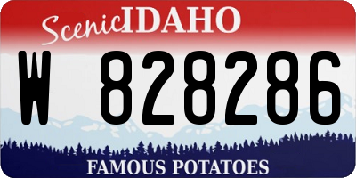 ID license plate W828286