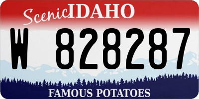 ID license plate W828287