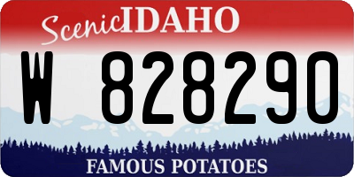 ID license plate W828290