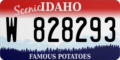 ID license plate W828293