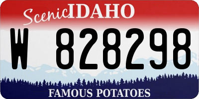 ID license plate W828298