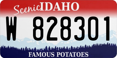 ID license plate W828301