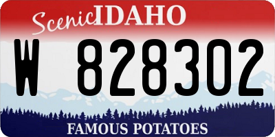 ID license plate W828302