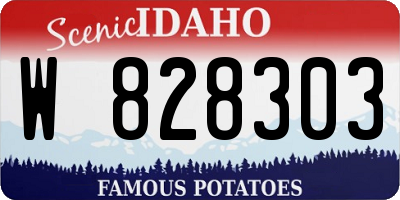 ID license plate W828303