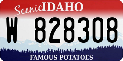 ID license plate W828308
