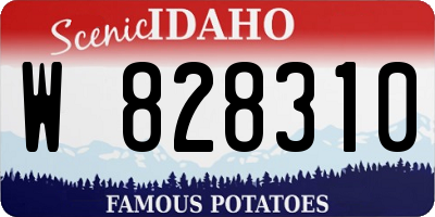 ID license plate W828310