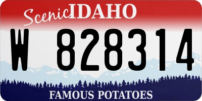 ID license plate W828314