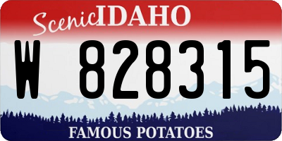 ID license plate W828315