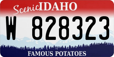 ID license plate W828323