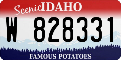 ID license plate W828331