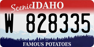 ID license plate W828335