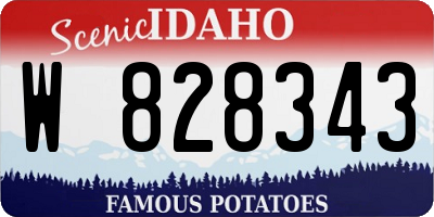 ID license plate W828343
