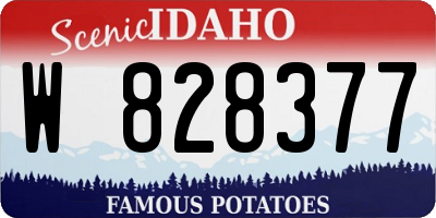 ID license plate W828377