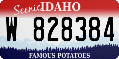 ID license plate W828384