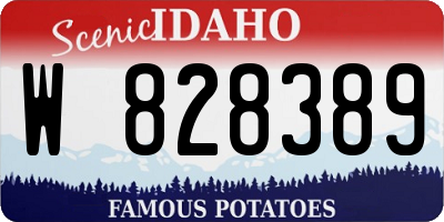 ID license plate W828389