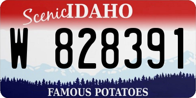 ID license plate W828391