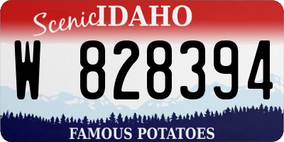 ID license plate W828394