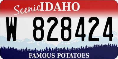 ID license plate W828424