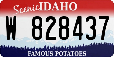 ID license plate W828437