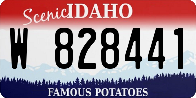ID license plate W828441