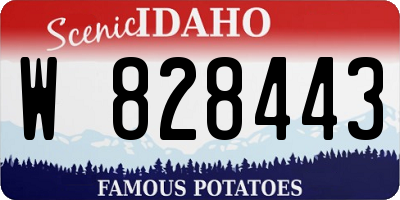 ID license plate W828443