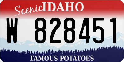 ID license plate W828451