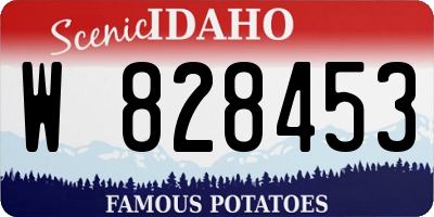 ID license plate W828453