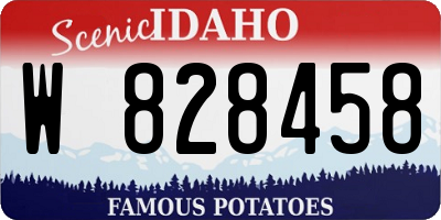 ID license plate W828458