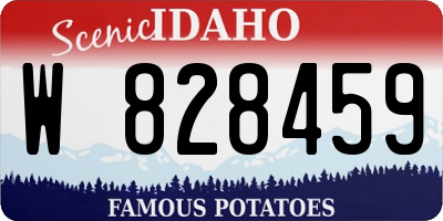 ID license plate W828459