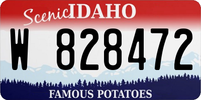 ID license plate W828472