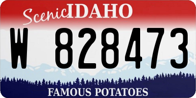 ID license plate W828473