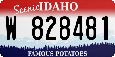 ID license plate W828481