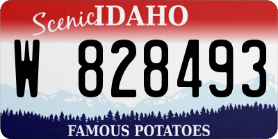 ID license plate W828493