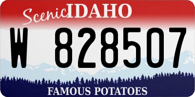 ID license plate W828507