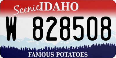 ID license plate W828508