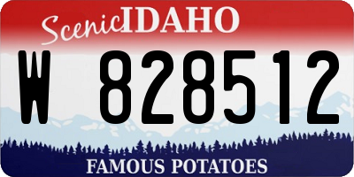 ID license plate W828512