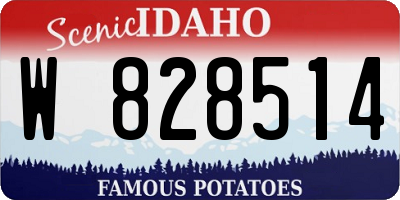 ID license plate W828514