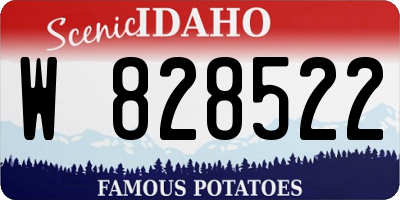 ID license plate W828522
