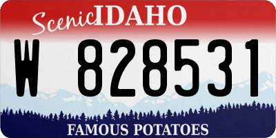 ID license plate W828531