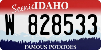 ID license plate W828533