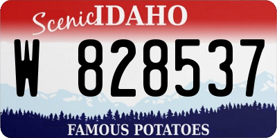ID license plate W828537