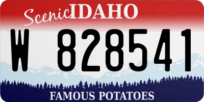 ID license plate W828541