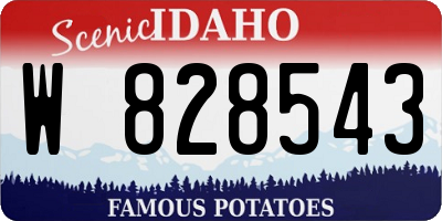 ID license plate W828543
