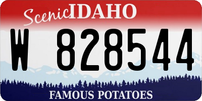 ID license plate W828544
