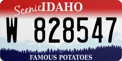 ID license plate W828547