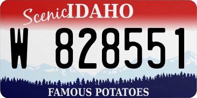 ID license plate W828551