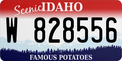ID license plate W828556