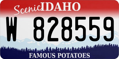 ID license plate W828559