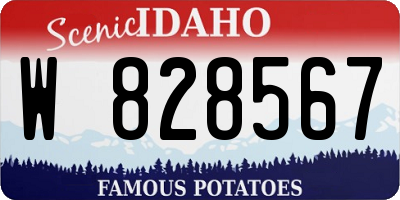 ID license plate W828567